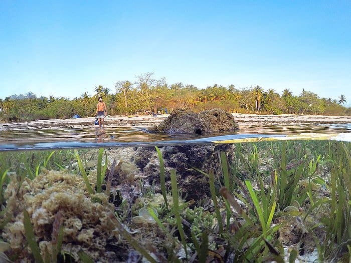 nature-natural-beauty-philippines-Linapacan nature-natural-beauty-philippines-Linapacan