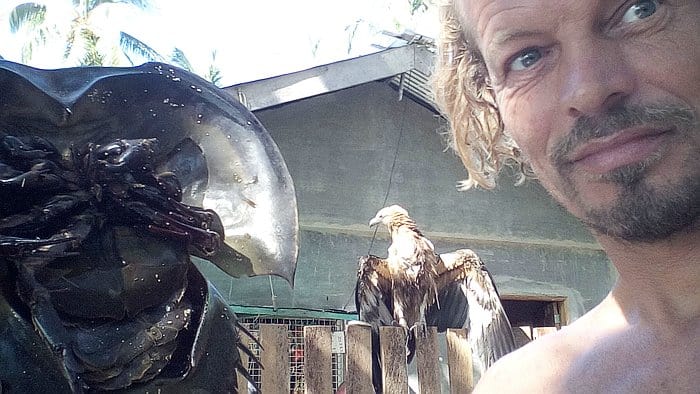 A person with blonde hair stands beside a horseshoe crab, perhaps reminiscing about their recent boat tour, as a large bird perches on a wooden fence in the background.