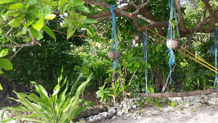 camping-tenting-philippines-kitesurfing-20160711_171310