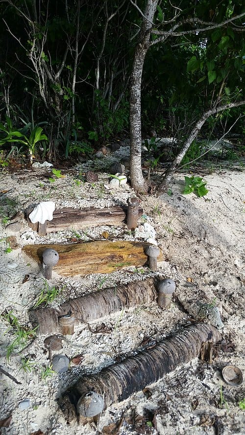 Rustic wooden steps lead to a sandy beach surrounded by lush greenery and trees, offering the perfect starting point for an island hopping adventure.