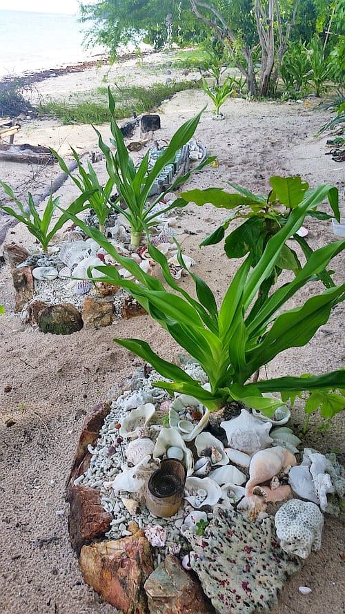 Tropical plants grace a sandy beach surrounded by rocks and seashells, while trees and the ocean paint the backdrop. Ideal for island hopping or starting a boat tour adventure.