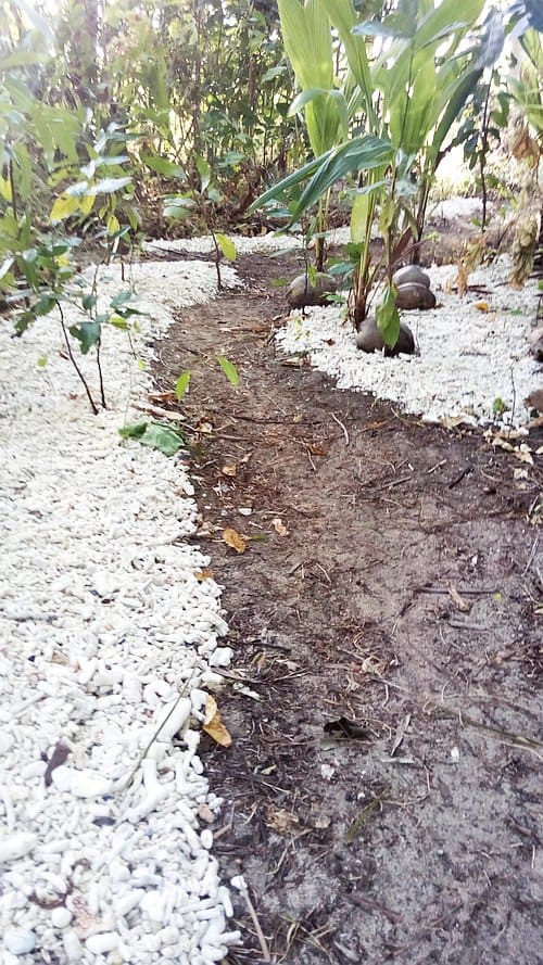 A garden path bordered by white stones meanders through lush plants and greenery, reminiscent of the tranquil journeys experienced during an island-hopping adventure.