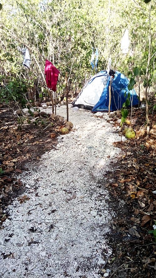 A narrow gravel path leads to a blue camping tent in a wooded area, with clothes hanging from branches on either side, evoking the sense of adventure found in island hopping.