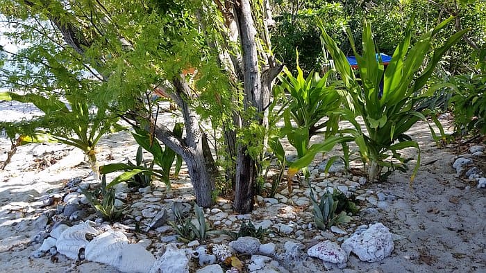 tent-camping-spot-A-20170228_090326