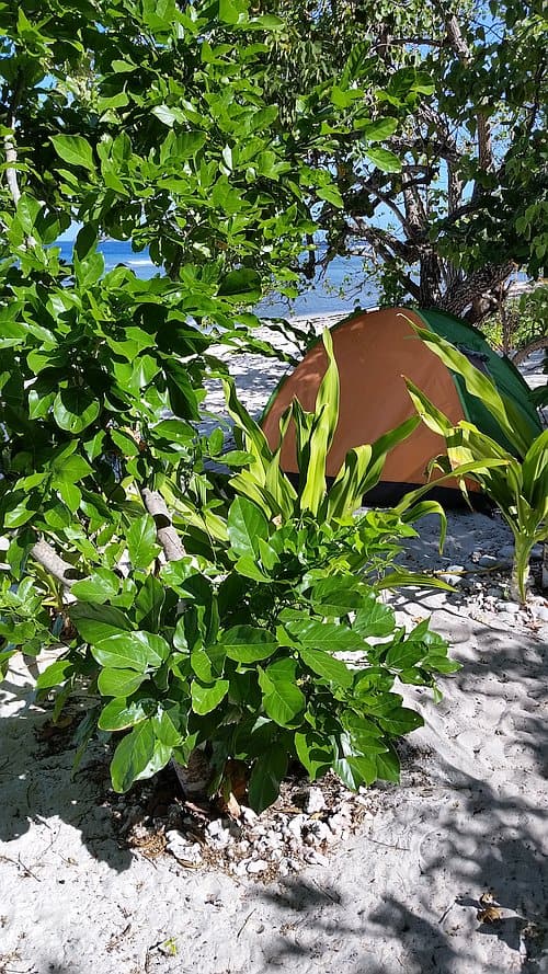 tent-camping-spot-A-20170228_090351