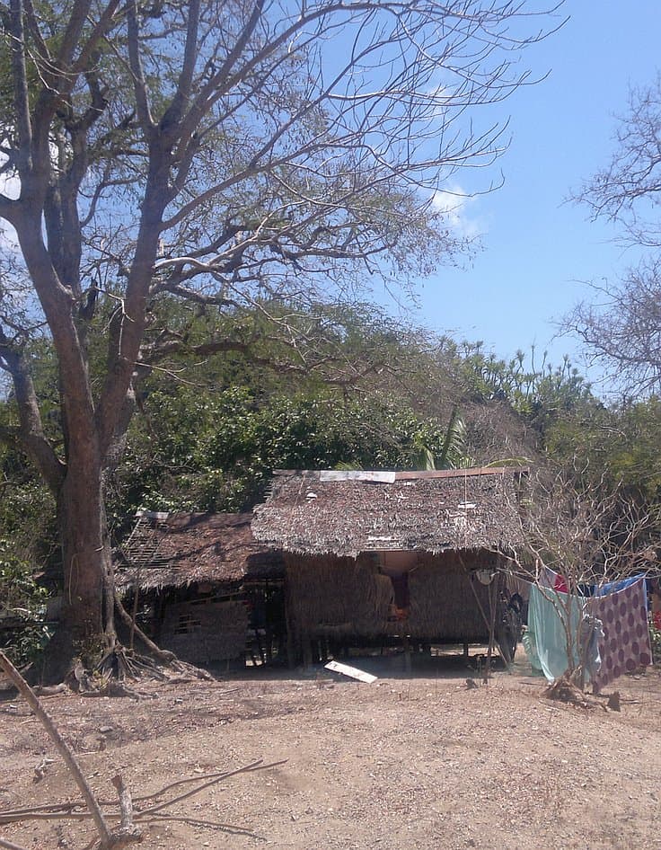 A rustic, thatched-roof hut is nestled among trees with bare branches under a clear blue sky, reminiscent of an island hopping adventure. Sparse vegetation and a dry, sandy ground surround the area, while a colorful cloth hangs on a line in the foreground.