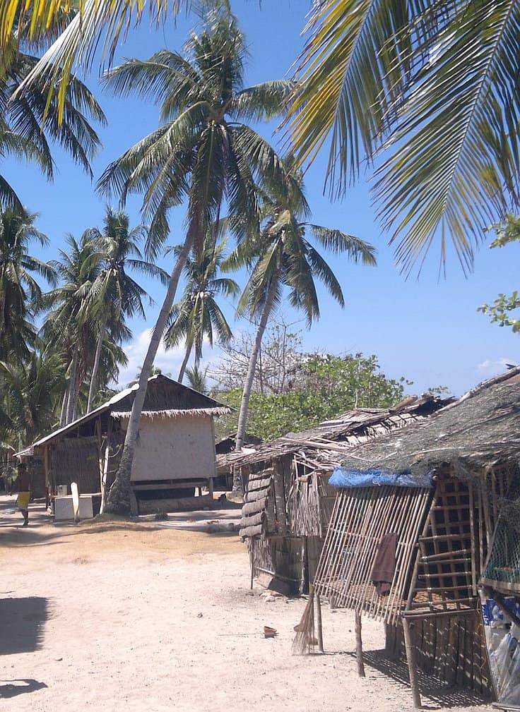 A picturesque tropical scene with traditional thatched huts surrounded by tall palm trees under a clear blue sky. The sandy ground enhances the island hopping vibe, inviting visitors to explore nearby shores on boat tours for the ultimate escape.