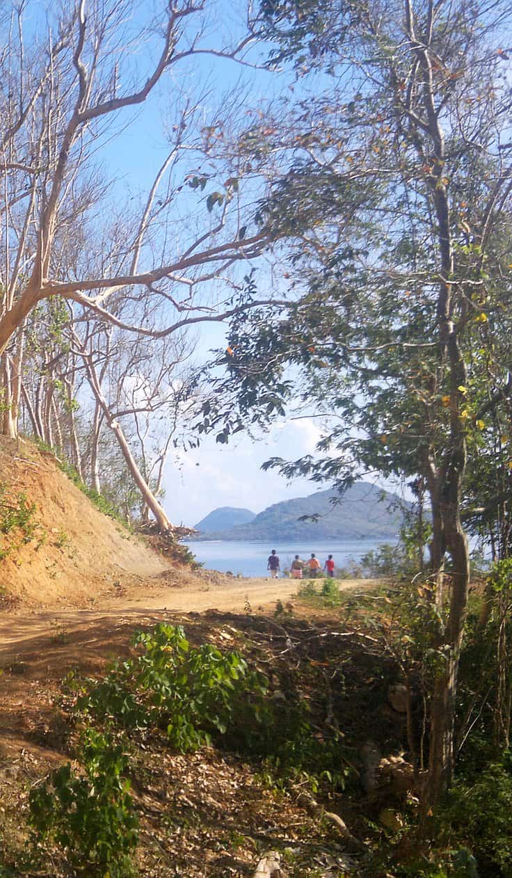 A scenic view of a dirt path winding through a forested area, leading to a group of people standing near a water body, possibly planning boat tours. The landscape includes sparse trees and a backdrop of distant hills under a clear blue sky.