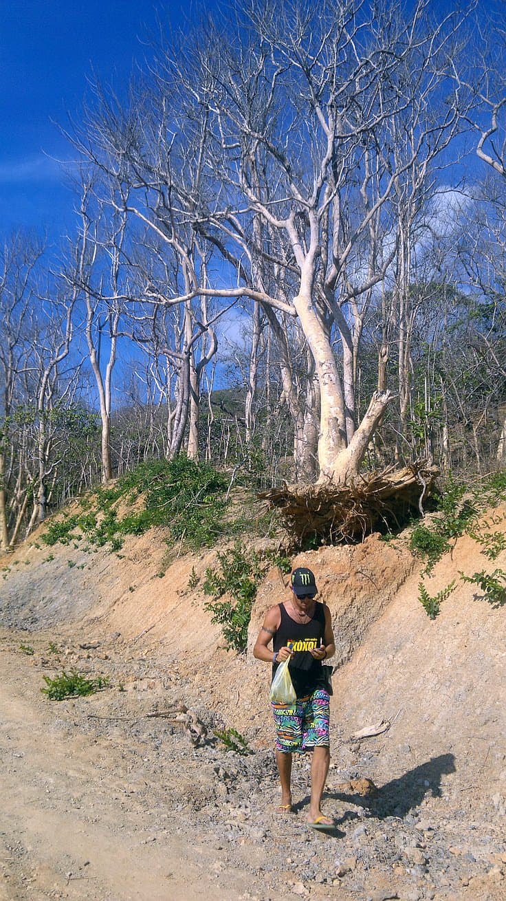 A person wearing colorful shorts and a backpack strolls along a sandy path, with bare trees and a bright blue sky in the background, dreaming of island hopping adventures.