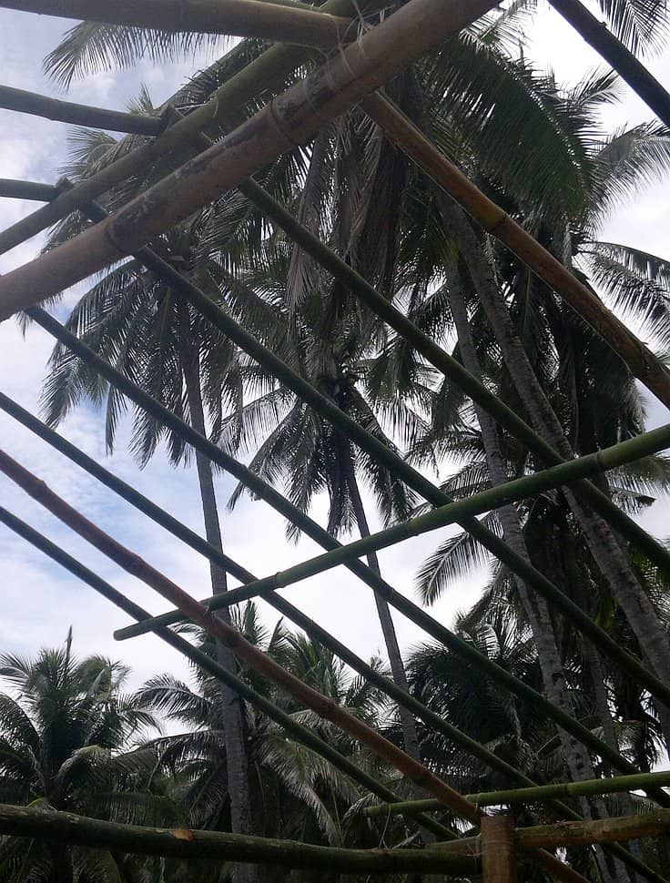 View of a bamboo roof structure under construction, with tall palm trees and a cloudy sky in the background, perfect for those planning boat tours or island hopping adventures.