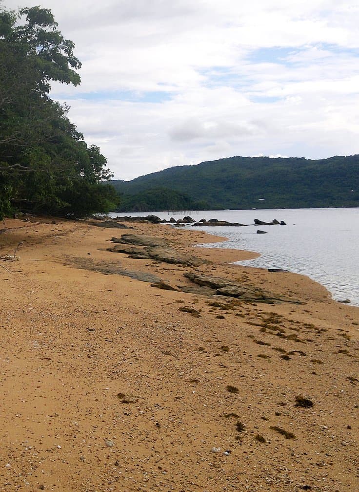 A serene beach scene with golden sand and scattered seaweed. The shoreline curves gently towards lush green hills, perfect for island hopping in the background. The sky is partly cloudy, casting soft light over the tranquil waters where boat tours often glide by.