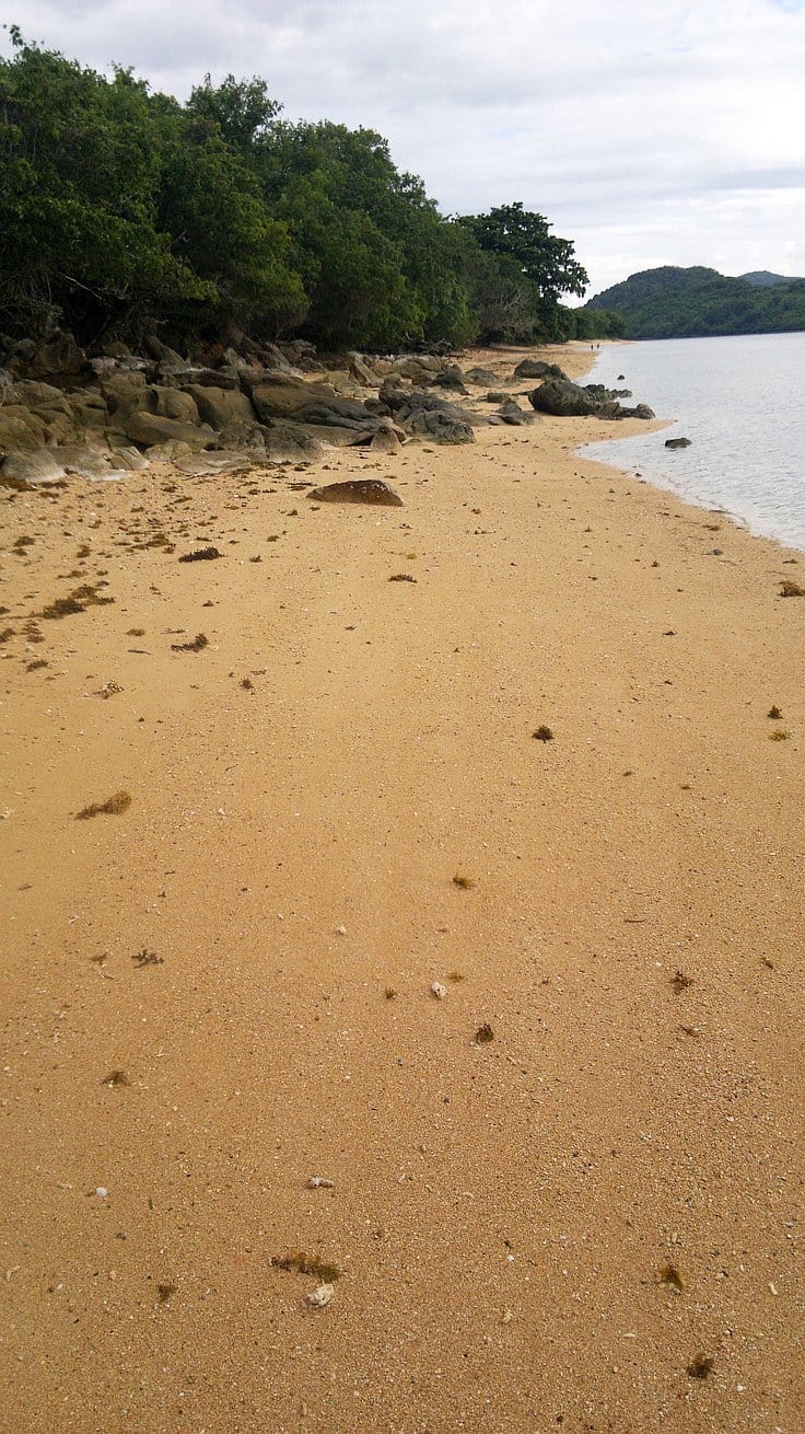 A tranquil beach scene with a sandy shore, perfect for island hopping or boat tours, is lined with scattered rocks and seaweed. Lush green trees border the left side, while calm water extends to the right. A cloudy sky looms overhead, creating a serene and quiet atmosphere.