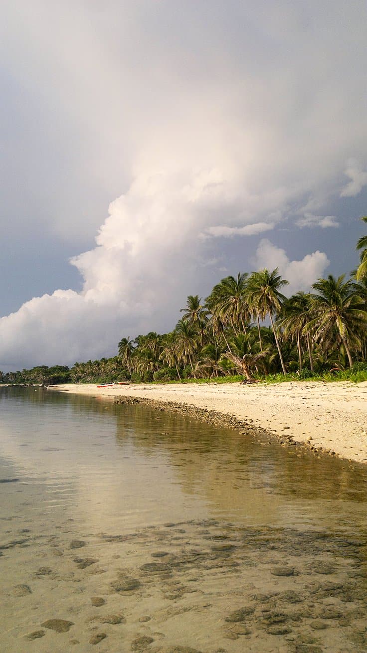 A tranquil beach scene with clear, shallow water reflecting the sky, a sandy shore, and a row of tall palm trees lining the coast. A large cloud formation looms in the distant blue sky, inviting thoughts of island hopping or leisurely boat tours along the serene coastline.