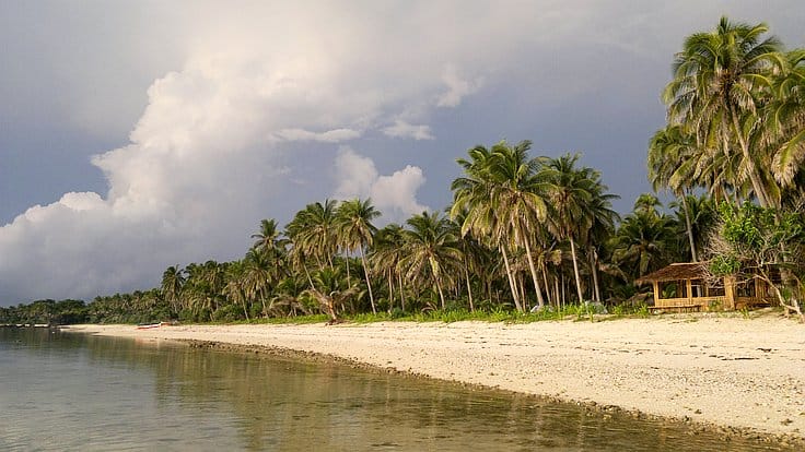 A serene beach scene with calm waters lapping at a sandy shore lined with tall palm trees, perfect for island hopping. A small wooden structure sits among the trees, and large, dramatic clouds fill the sky, suggesting an impending storm.