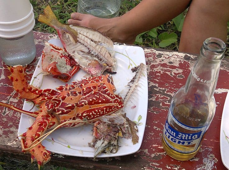 A plate with remnants of a lobster shell and fish bones rests on a rustic wooden surface, perhaps after a day of island hopping. A San Miguel Light beer bottle and a disposable cup are nearby. In the background, a person's foot is partially visible next to a piece of clear plastic.