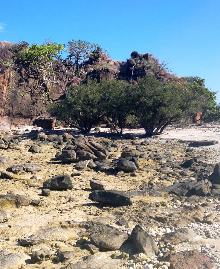 Rocky shoreline with scattered stones leads to an erosion-carved cliff in the background. Sparse vegetation, including a few small trees, grows near the cliff. The sky is clear and blue, perfect for those enjoying boat tours along this rugged coastal landscape.