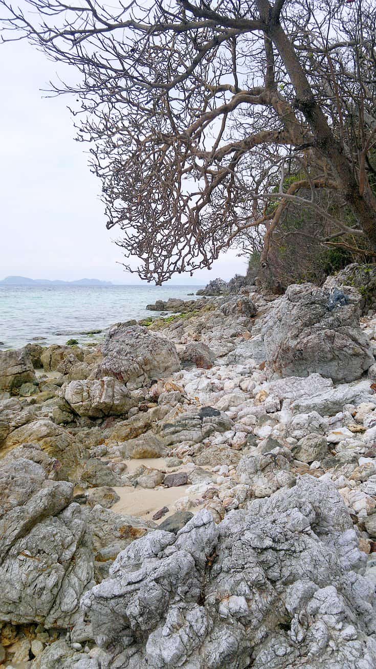 The rocky shoreline, with its large, jagged stones and sparse trees, stretches invitingly. In the background, the sea is calm under a cloudy sky—perfect for island hopping. Sparse vegetation peeks through the rocks, adding texture to this serene coastal landscape.
