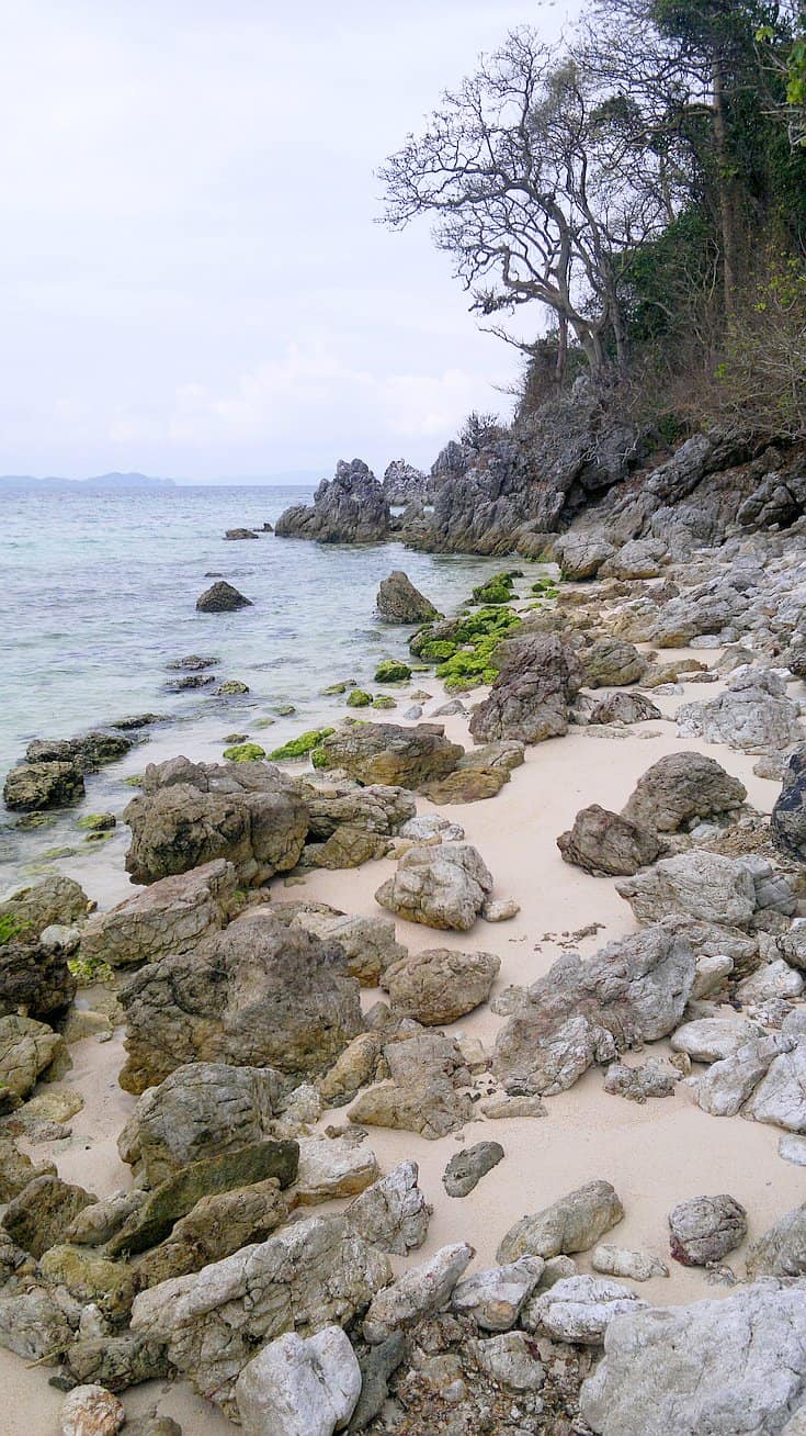 A rocky shoreline with scattered boulders and patches of sand invites exploration. The ocean is calm with gentle waves lapping against the rocks, where green algae thrive. In the background, under a cloudy sky, a few bare trees and dense greenery hint at island hopping adventures nearby.
