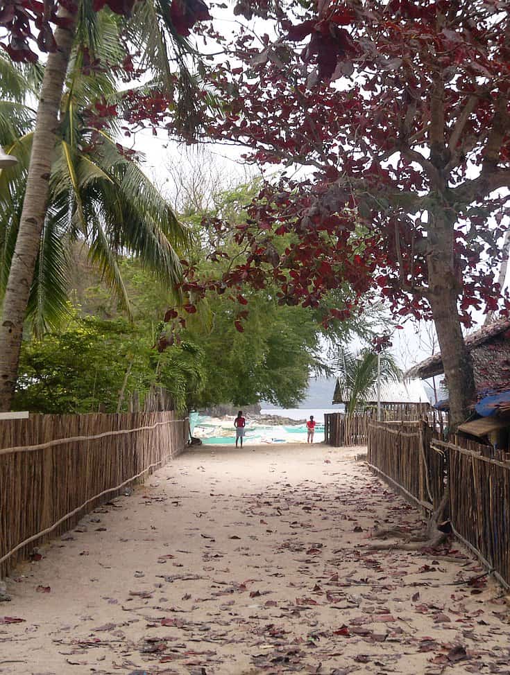 A sandy path lined with wooden fences and tropical trees leads to a beach, where boat tours await. Red and green foliage hang above, and two people stand in the distance near the ocean. The scene is calm and inviting.
