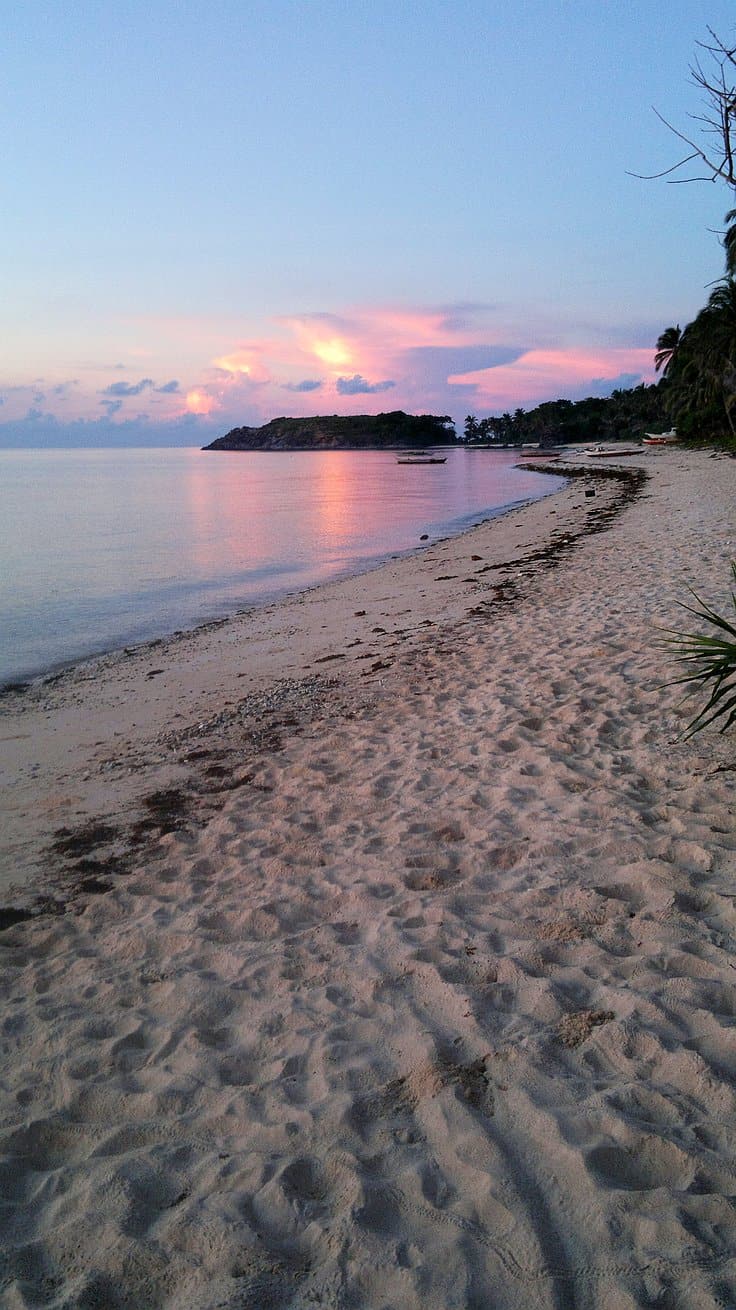 A serene beach at sunset with a gentle shoreline curving towards distant cliffs, perfect for island hopping. The sky, painted in hues of pink and purple, reflects on the calm water. The sandy beach is sprinkled with seaweed and bordered by lush greenery.