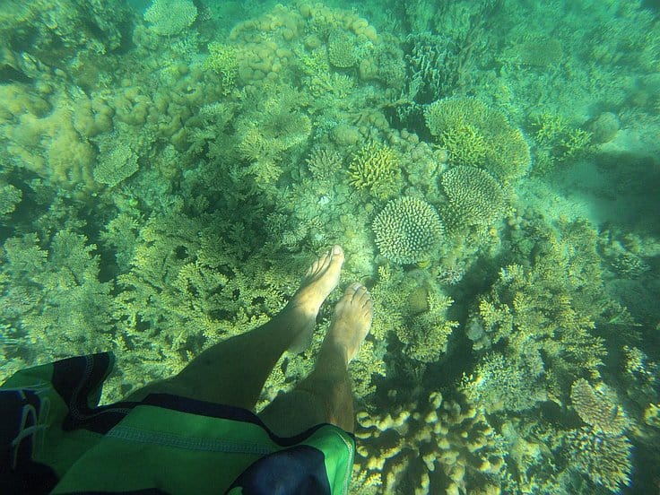 A person's legs and feet are submerged in clear water, hovering above a vibrant underwater coral reef. The scene, reminiscent of island hopping adventures, displays various coral formations under the teal water, all viewed from a first-person perspective.