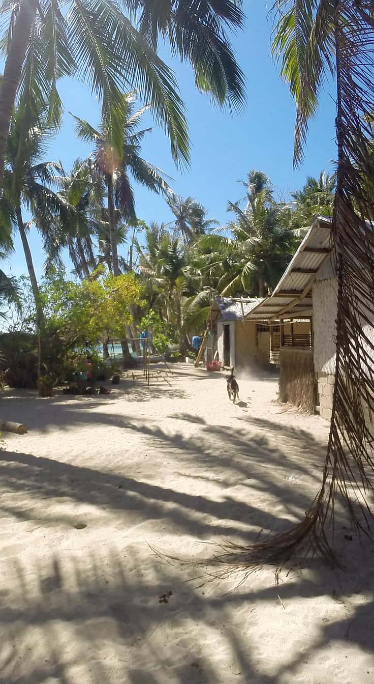 A sandy path leads to a beach lined with tall palm trees. A cottage with a thatched roof is on the right, and a person walks in the distance under the bright, blue sky—perfect for those seeking island hopping adventures.
