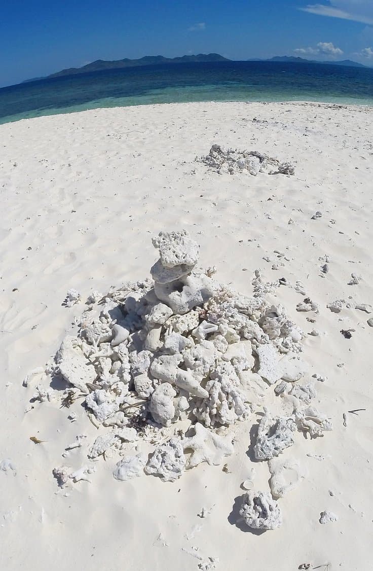 A pile of white coral pieces rests on a pristine sandy beach with a calm blue ocean in the background. The horizon showcases distant dark green islands, perfect for island hopping, under a clear blue sky.
