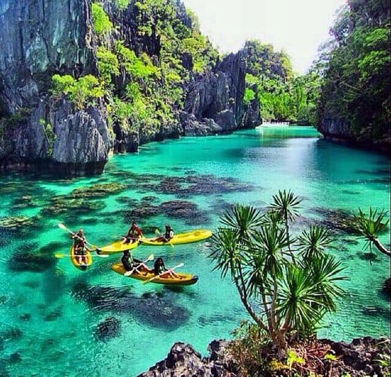 Kayakers in yellow canoes paddle through the clear turquoise waters of El Nido, surrounded by rocky cliffs and lush greenery, as if on a picturesque boat tour.