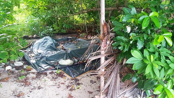 A makeshift shelter in a wooded area with a tarp covering the ground, surrounded by green foliage and palm leaves, offers a rustic charm reminiscent of island hopping adventures. The natural setting features bright greenery and a sandy ground, evoking the serene vibe of casual boat tours.