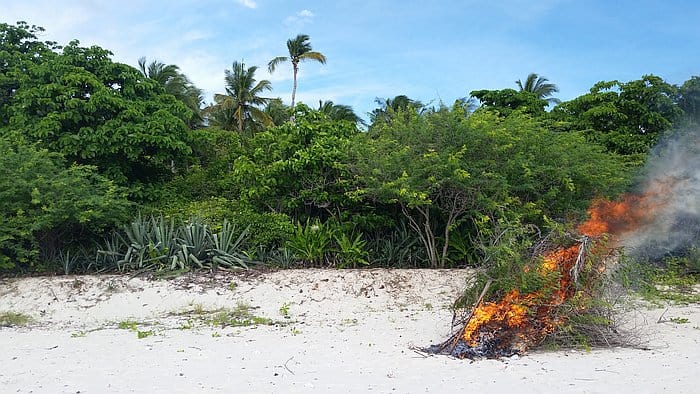 A beach scene with a pile of branches and leaves burning on the white sand, perfect for a quick rest during island hopping. Dense green foliage and tall palm trees are in the background under a clear blue sky. Smoke rises from the fire into the air.