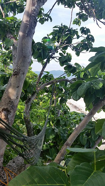 A hammock is strung between two lush, green trees, offering a tranquil view of the ocean where boat tours gently glide by and distant mountains are visible through the foliage. The scene conveys a sense of relaxation perfect for island hopping daydreams.
