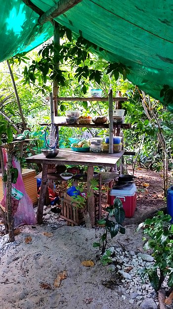 A rustic outdoor kitchen under a green tarp features wooden shelves stocked with utensils and containers. Perfect for island hopping enthusiasts, this setup includes a table and cooler on the sandy ground, surrounded by lush greenery, creating a natural, makeshift cooking space.
