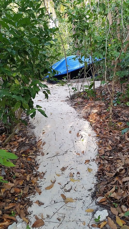 Camping on Dimancal Island F Spot long path inland