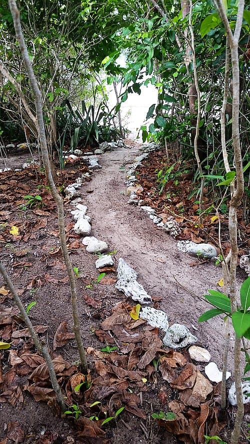 Camping on Dimancal island tent area C path inland ready to add sand on
