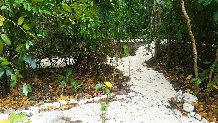 Camping on Dimancal island tent area C sandy passages inland