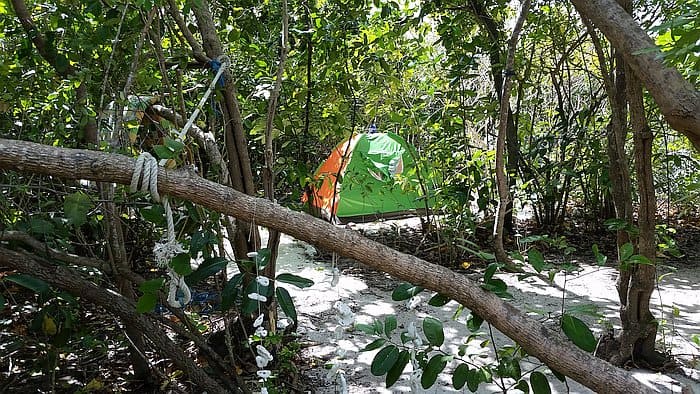 Camping on Dimancal island tent area C quite spot of solitude in the background