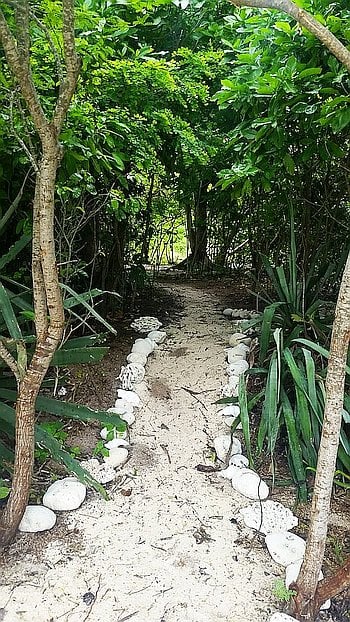 Camping on Dimancal Island C Spot inland entrance through the shrubbery