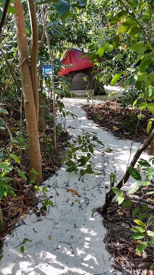 Camping on Dimancal island tent area C passage inwards