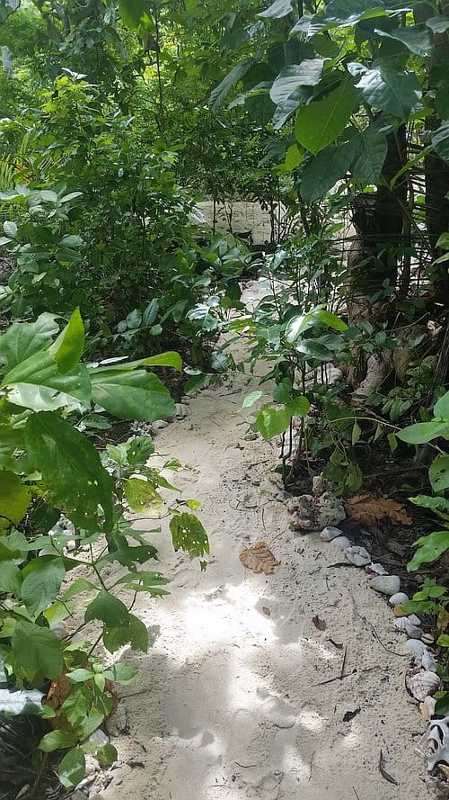 Tent spot D 20161002_120555b