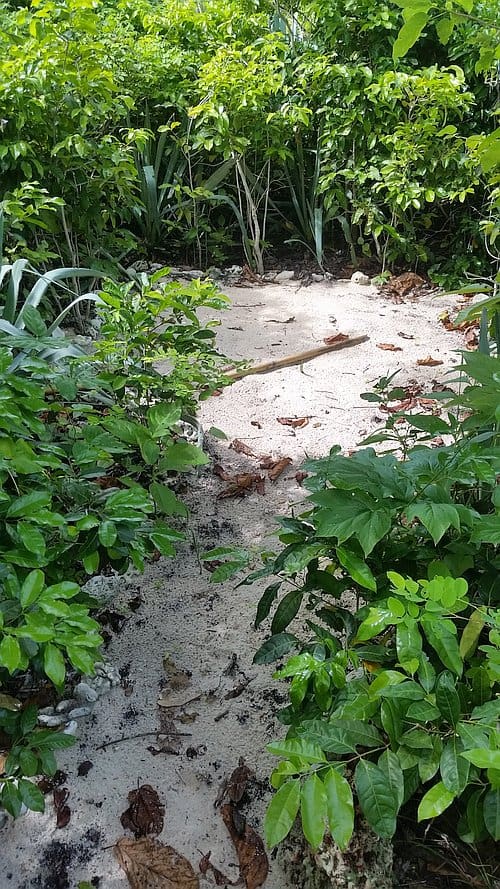 Tent spot D 20161002_120555d