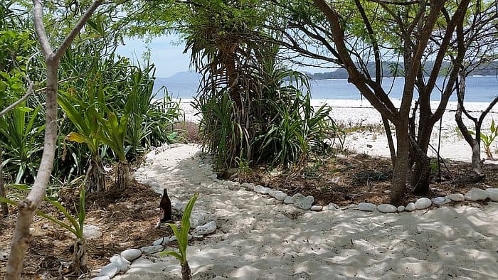 Camping on Dimancal Island F Spot entrance area