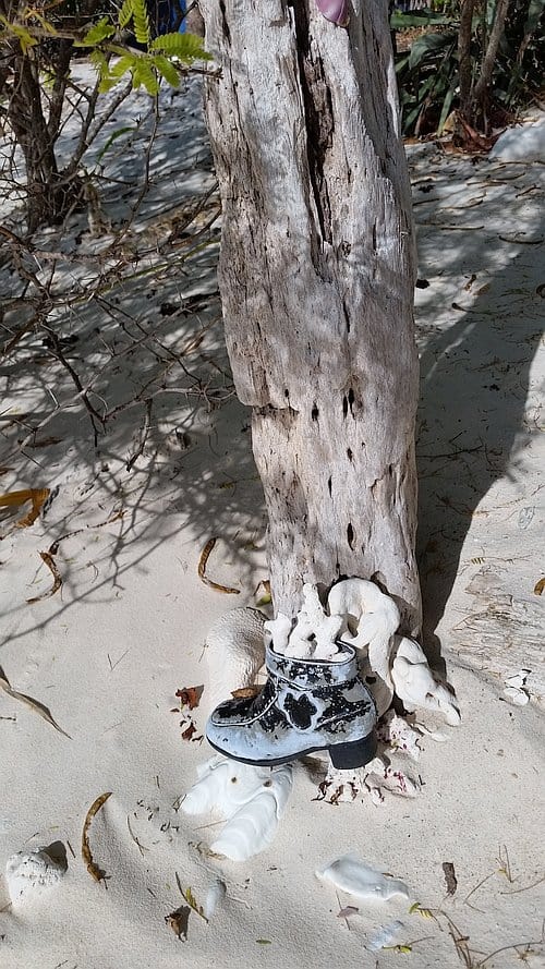 tent-camping-spot-d-20170227_155257