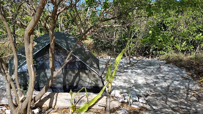 Mangrove forest in the Philippines with a tent and lush greenery.