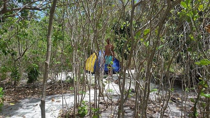 Camping on Dimancal island tent area F volunteer hiding in the background