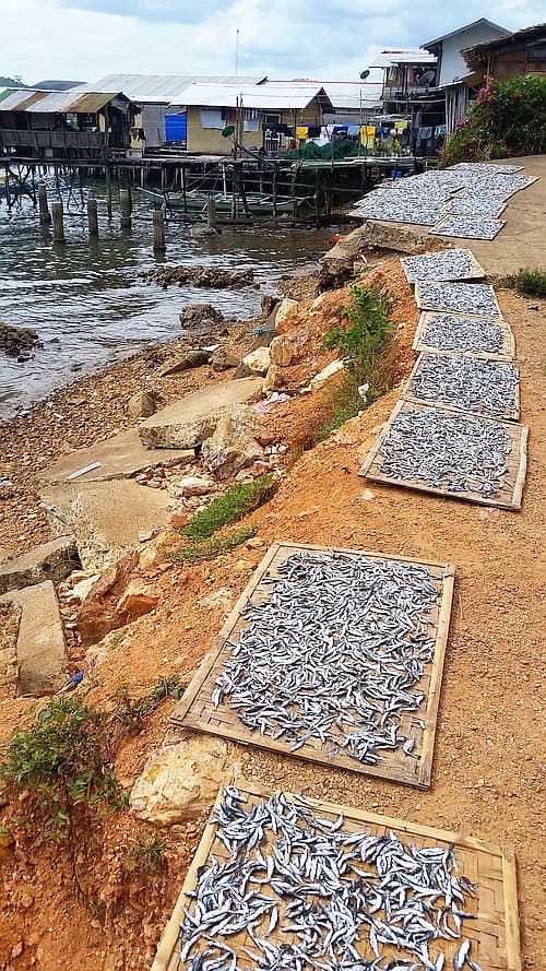 Fish drying on wooden frames line a sandy path by the water's edge, while stilt houses dot the shoreline. This rural scene beautifully captures the essence of a coastal village, often revealed during island hopping adventures or boat tours.