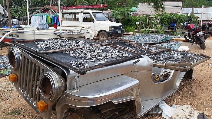 A makeshift drying rack for fish is ingeniously crafted from a silver jeep hood and side panels. Small fish are spread out to dry under the sun on the island of Coron. In the background, there's a white van, a motorbike, and laundry hanging to dry after an adventurous day of island hopping.