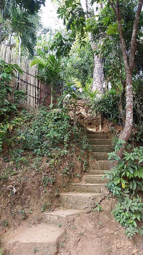 Stone steps lead up a small, wooded hill near the rural village of Coron, surrounded by lush greenery and trees, with a bamboo fence visible in the background.