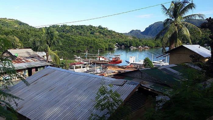 A scenic view of the coastal village in Coron showcases rustic metal-roofed houses in the foreground. Boats, ready for island hopping adventures, are docked by the water, surrounded by lush greenery and mountains under a clear blue sky. A palm tree stands prominently on the right.