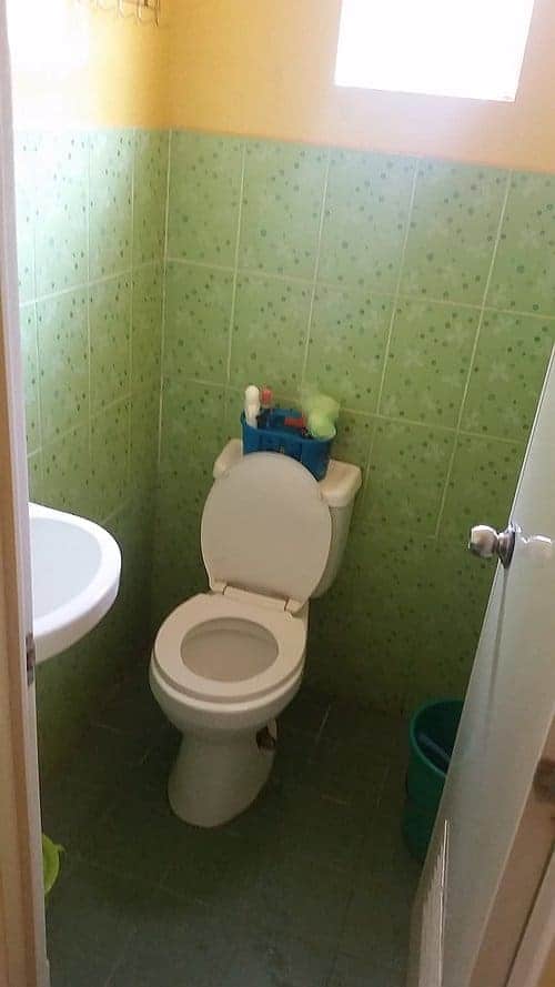 A small bathroom with green tiled walls and a white toilet, reminiscent of rustic rural charm. There is a sink on the left and a window above the toilet. A toiletry basket sits on the tank, perfect for those island hopping essentials, and a small bucket rests on the floor.