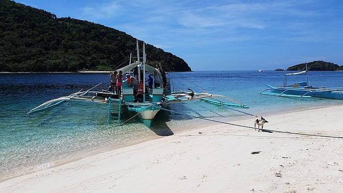 A traditional outrigger boat is docked on Araw Beach’s sandy shore with clear turquoise water. A small dog stands near the shoreline, and lush green hills are visible in the background under a bright blue sky, offering an idyllic setting perfect for picturesque boat tours.